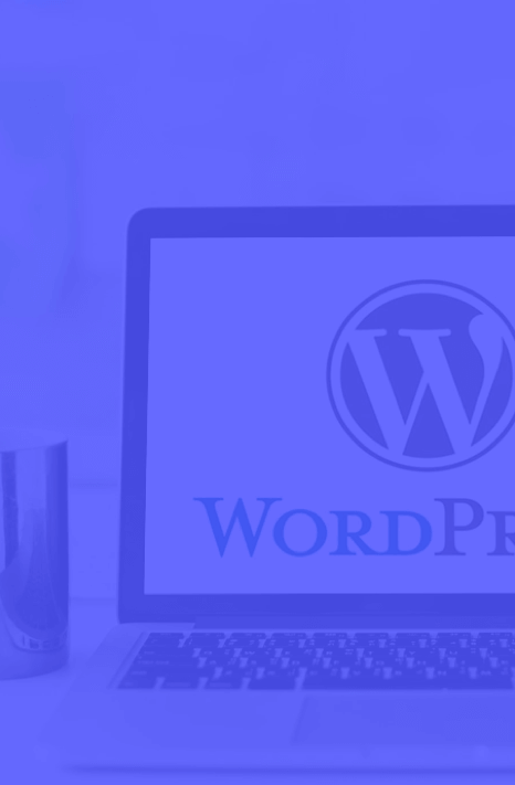 wordpress